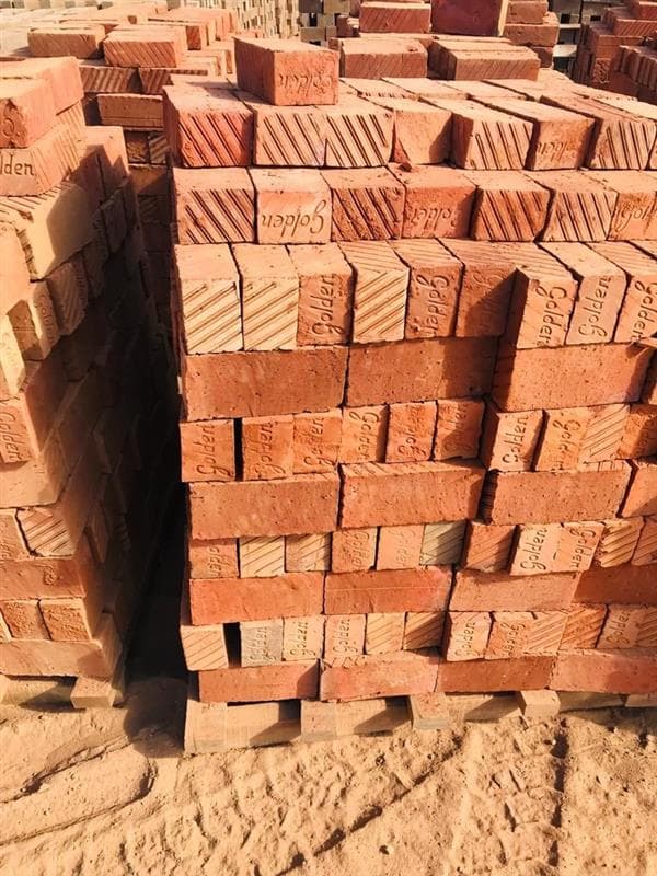 Wirecut Bricks